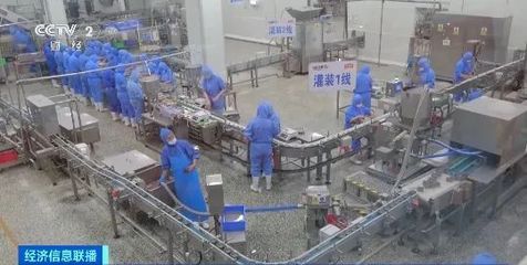 寵物食品出口火熱 4個月突破30億元，創歷史新高